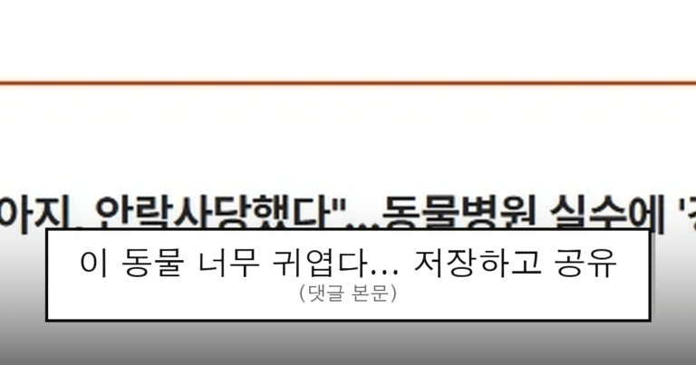 ruliweb_75545750_0_thumb