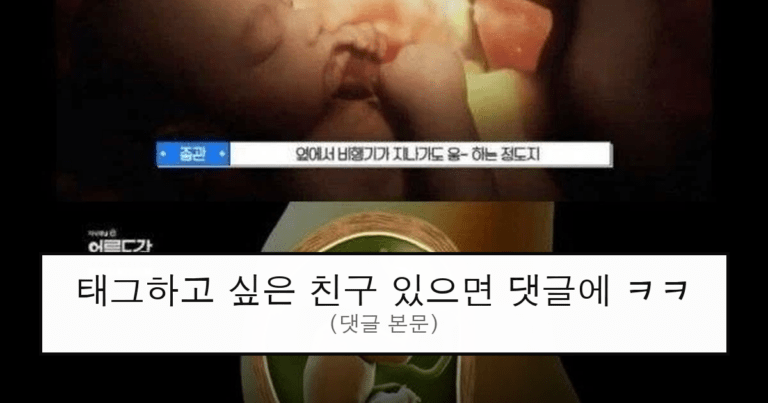 ruliweb_75558439_0_thumb