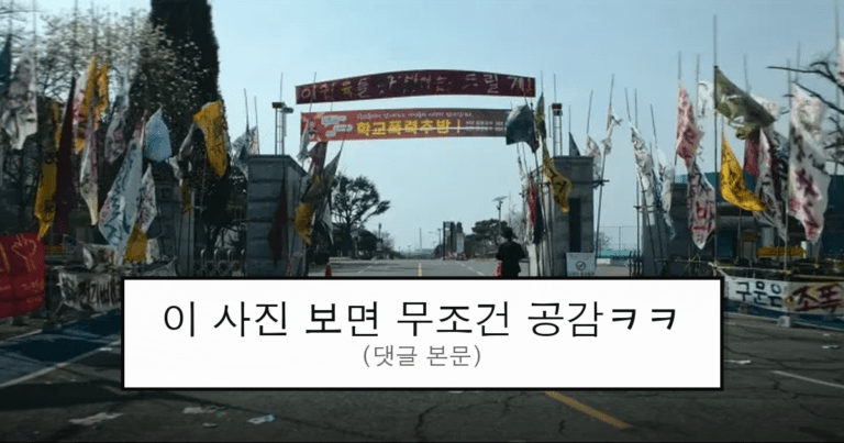 ruliweb_75594444_0_thumb