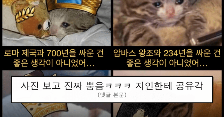 ruliweb_75645357_0_thumb